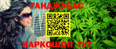 индика Усть-Илимск