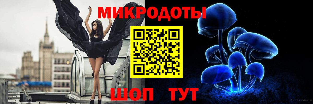 Псилоцибиновые грибы Psilocybe Красноярск